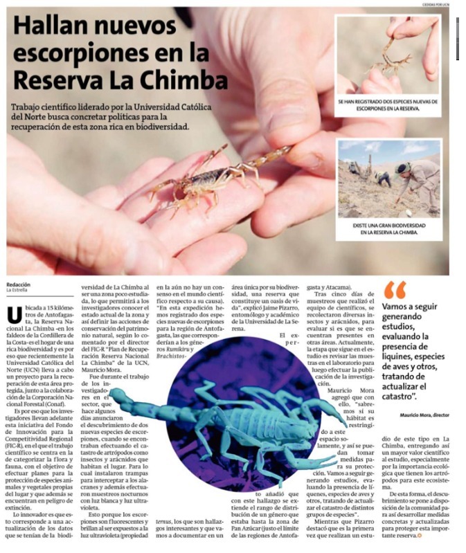 Nuevas posibles especies de artrópodos en la Reserva Nacional La Chimba
