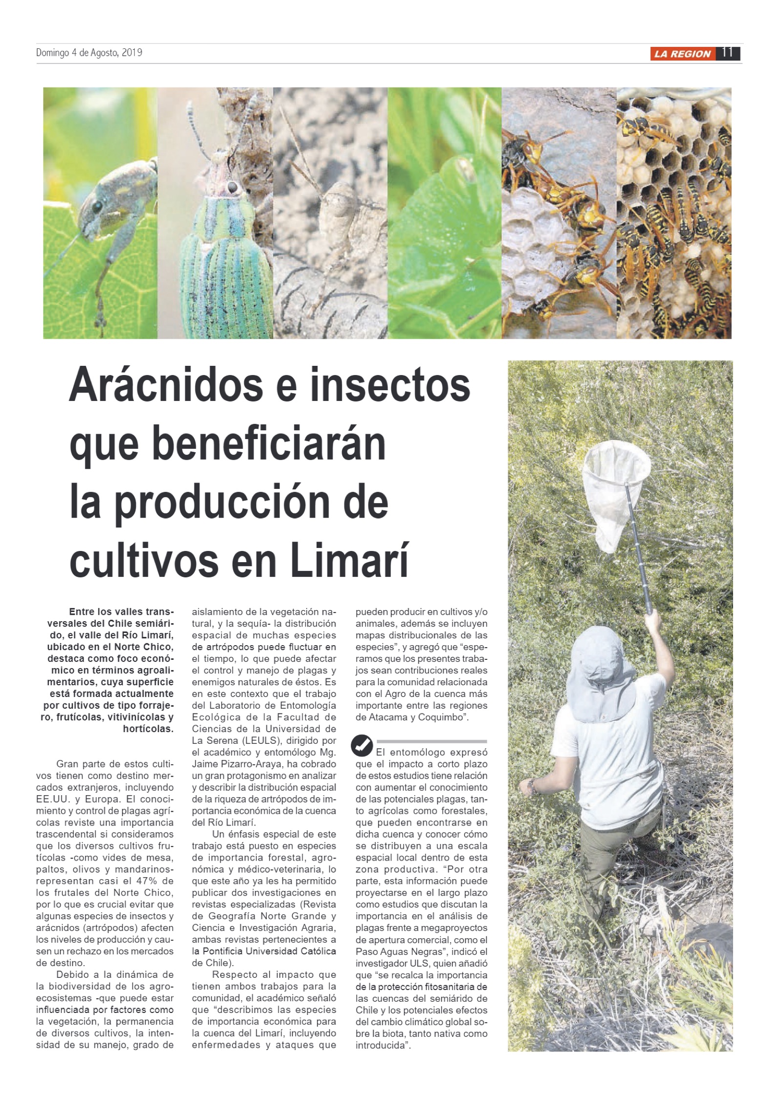 Diversos medios regionales destacan investigación ULS en insectos de importancia económica para Limarí