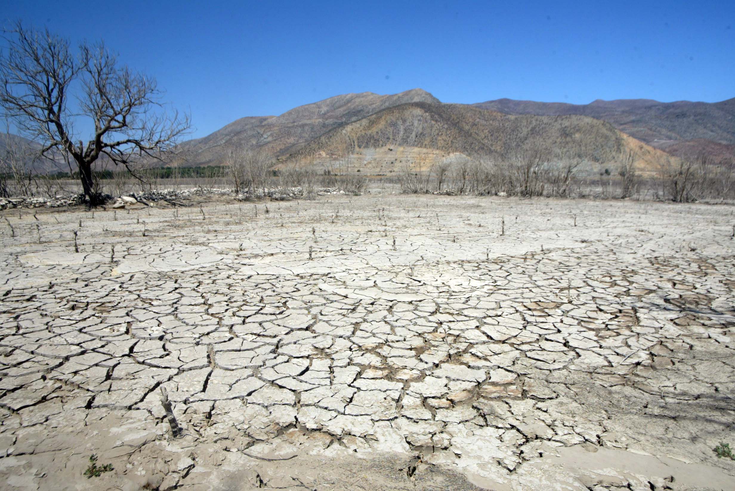 Crisis hídrica: Desalinización de aguas se asoma como esperanzan para enfrentar la sequía