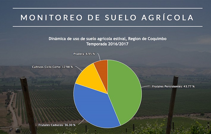 Más del 40% de la superficie agrícola de la Región de Coquimbo corresponde a frutales persistentes
