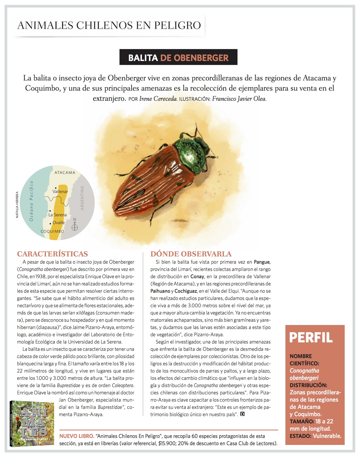 Animales chilenos en peligro: Trabajo del académico Jaime Pizarro en Revista del Domingo de El Mercurio