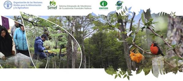 Convocatoria Diplomado: “Ecosistemas Forestales en el Ordenamiento Territorial: Herramientas para una gestión sustentable”