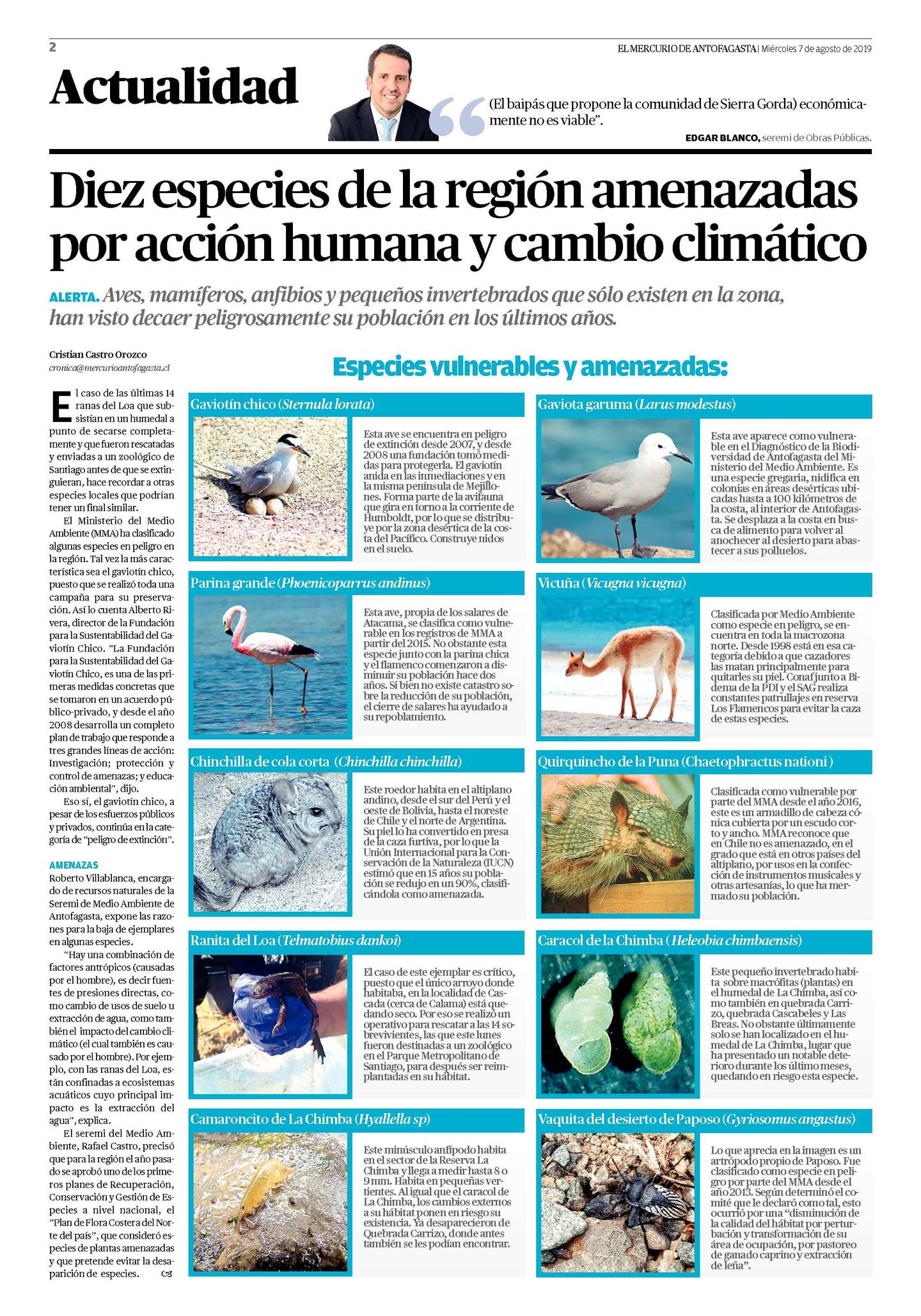 Especies en peligro de extinción en Antofagasta