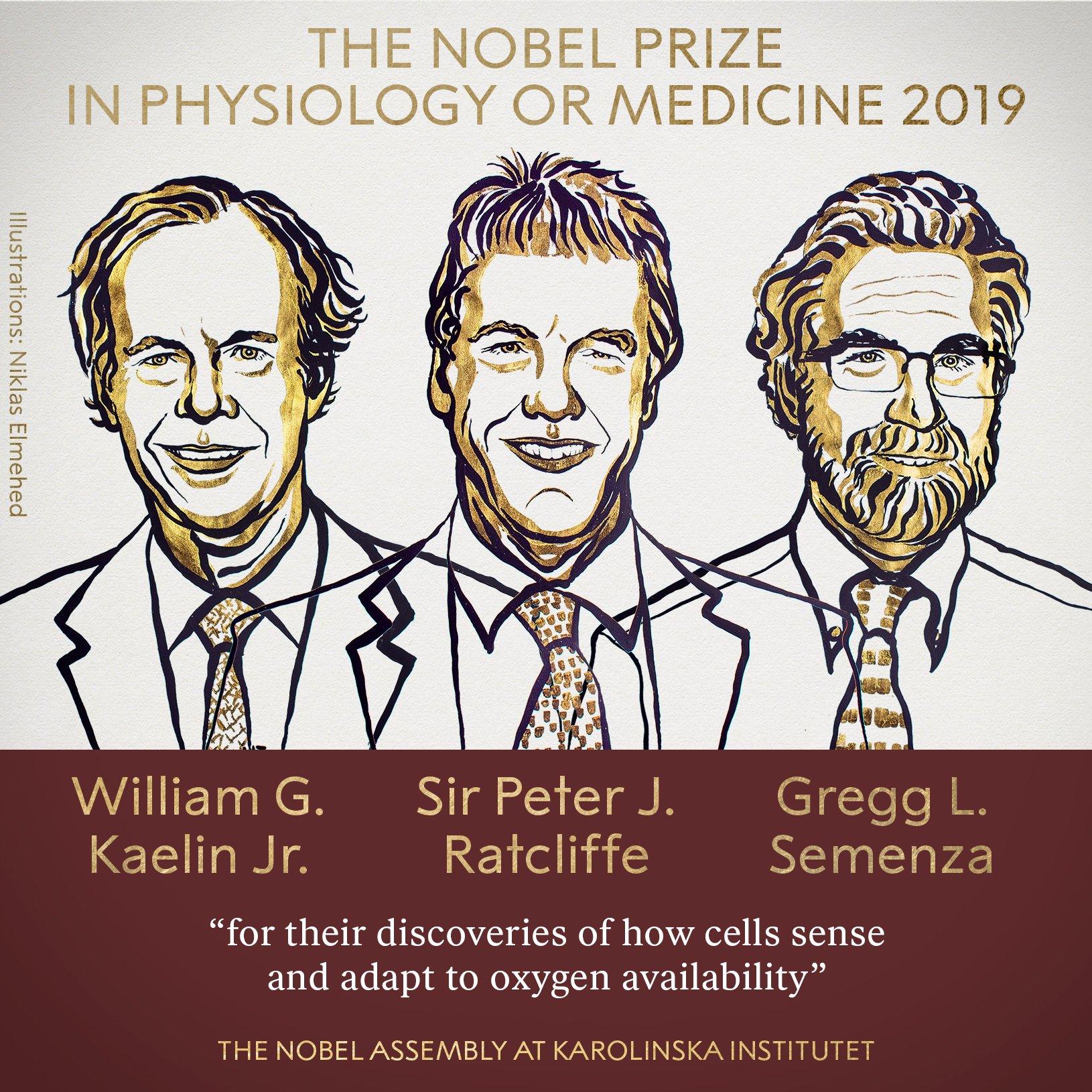 nobel prize physio 2019