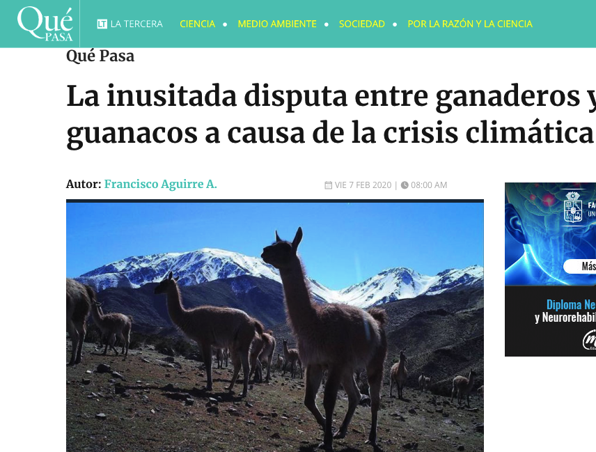 [PRENSA]Cambio Climático y la disputa entre ganaderos y guanacos en Chile