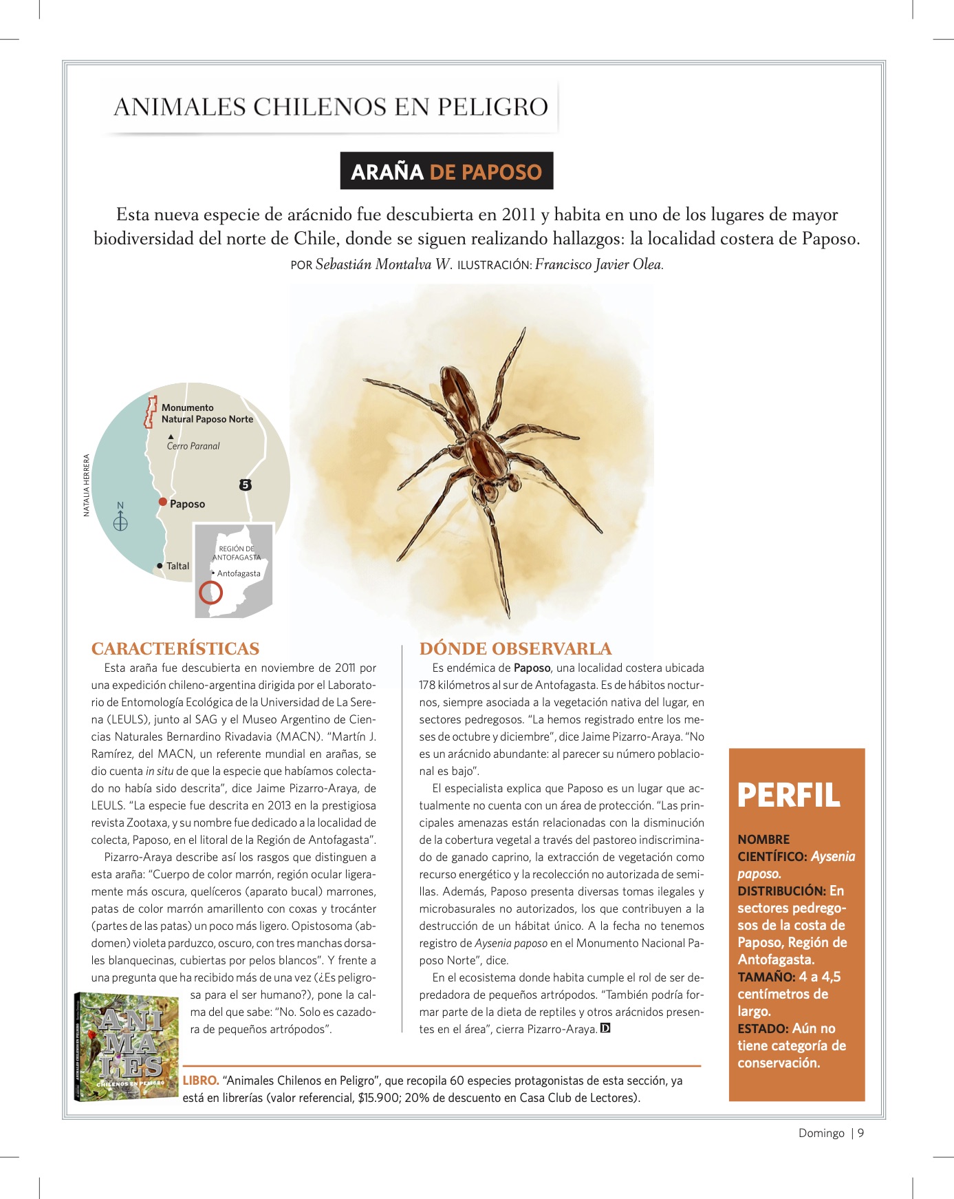 [Animales chilenos en peligro] Investigación ULS es publicada en Revista Del Domingo de El Mercurio