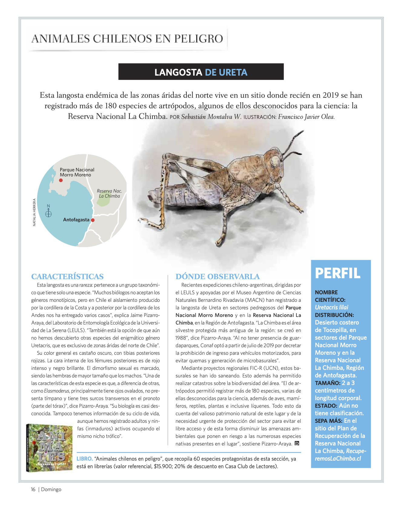 [El Mercurio] Animales Chilenos en Peligro: Investigación ULS en Revista Domingo