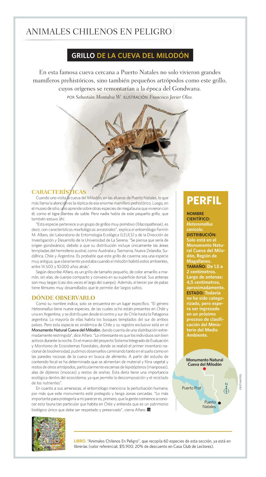 Animales Chilenos En Peligro: Revista El Domingo nuevamente publica trabajo ULS