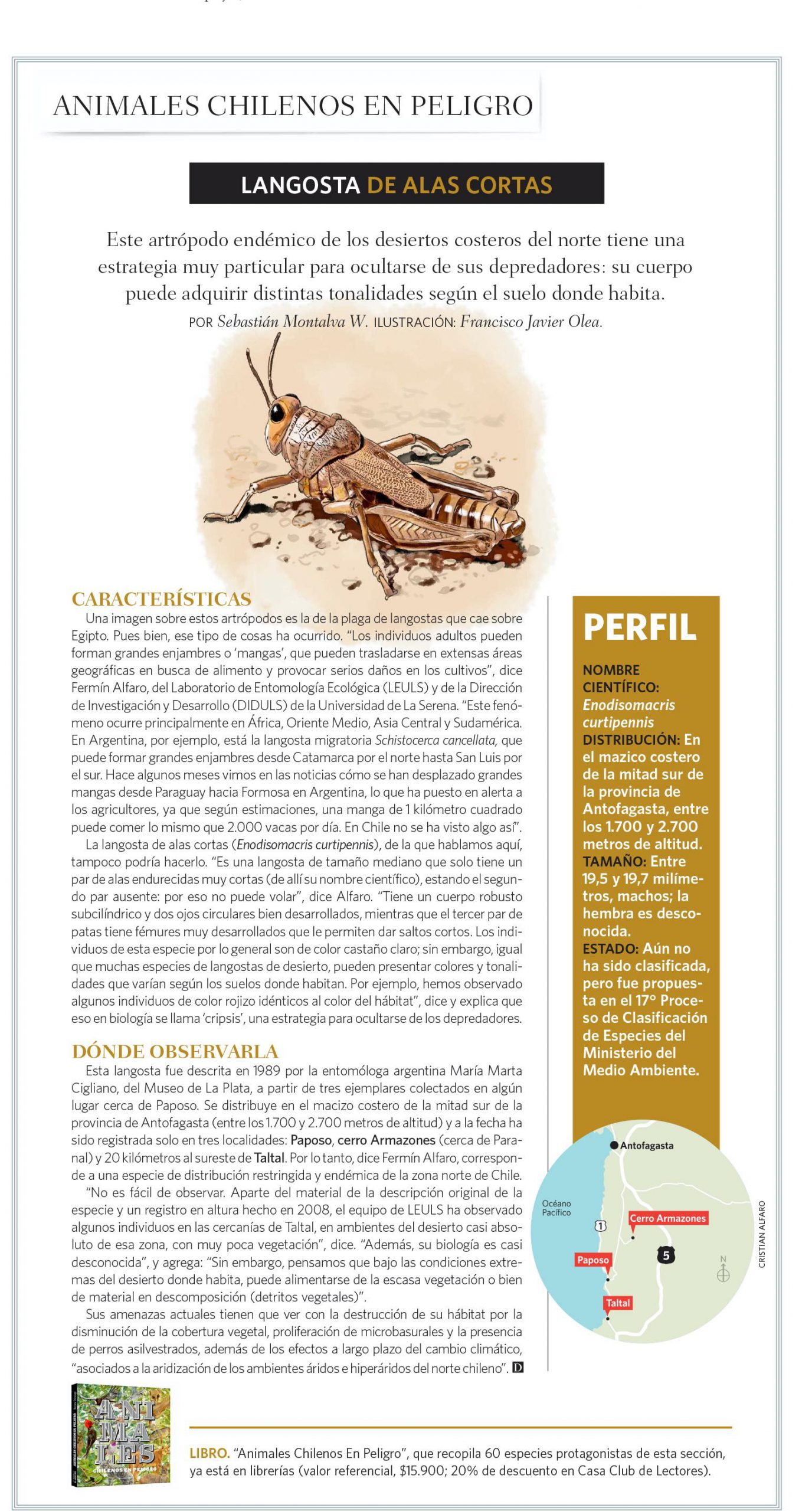 [Revista El Domingo] Animales Chilenos en Peligro