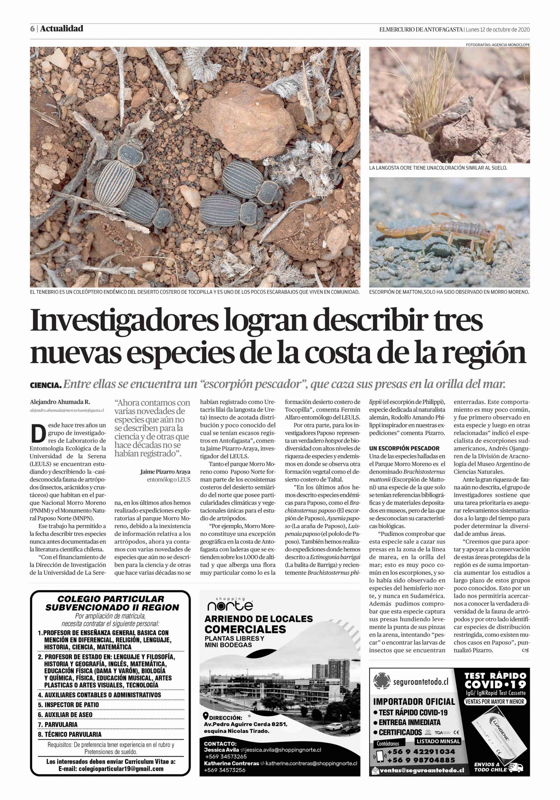Trabajo en entomología ULS es portada de El Mercurio de Antofagasta