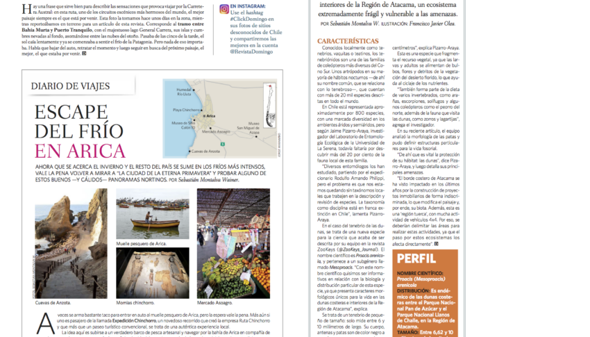 Animales Chilenos en Peligro: Investigación ULS en Revista Domingo