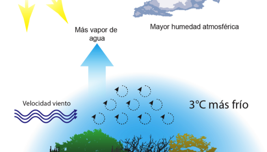 Alianza Seremi MINVU-ULS: Estudio demuestra cómo la vegetación nativa puede combatir el cambio climático en la Región de Coquimbo