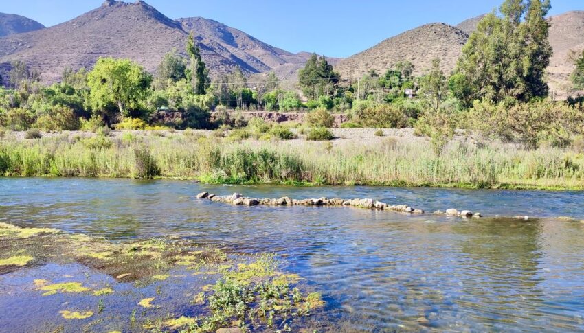 Investigan cómo el cambio climático reduce la diversidad microbiana en la cuenca del río Elqui